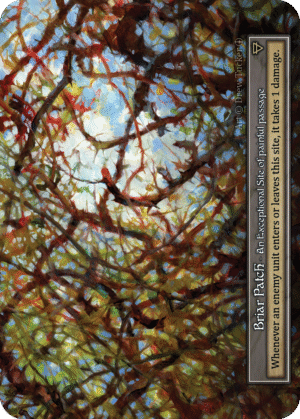 Briar Patch Foil