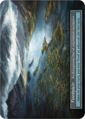 Floodplain Beta Foil