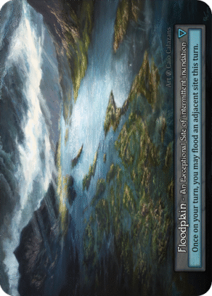 Floodplain Beta