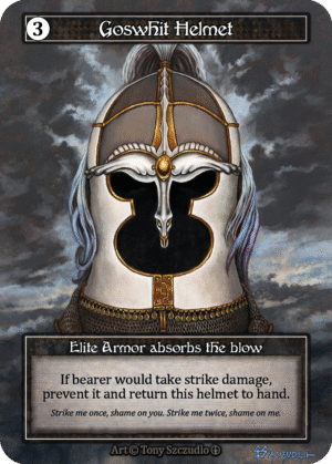 Goswhit Helmet Foil