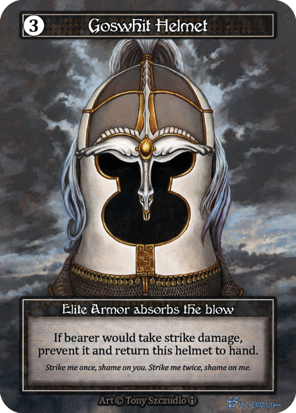 Goswhit Helmet Foil