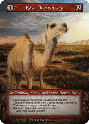 Raal Dromedary Beta