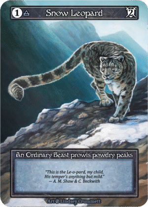 Snow Leopard Beta Foil