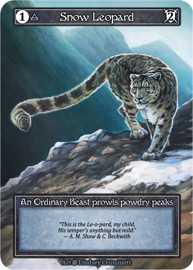 Snow Leopard Beta Foil