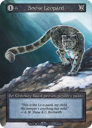 Snow Leopard Beta