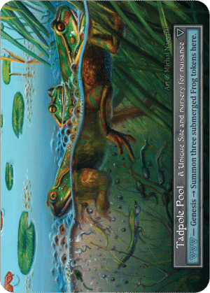 Tadpole Pool Beta Foil