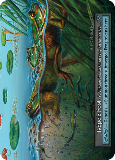 Tadpole Pool Alpha