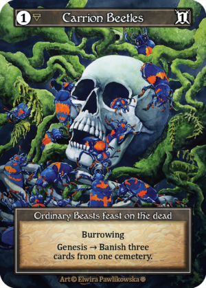 Carrion Beetles Foil