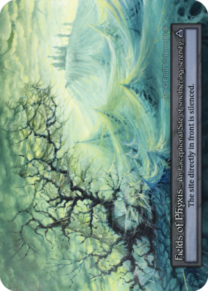 Fields Of Phyxis